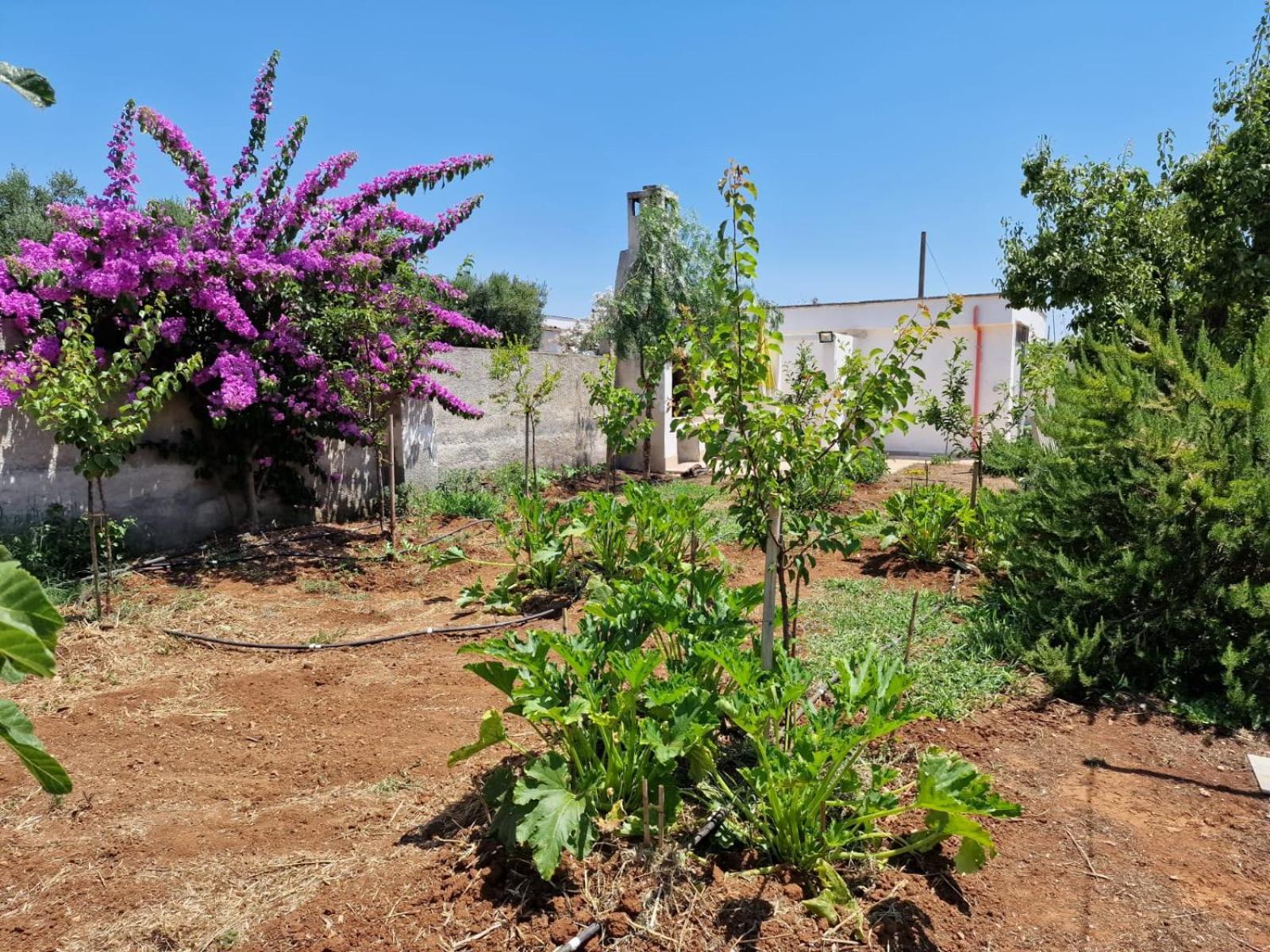 Villa Carmela A San Pietro In Bevagna Exteriér fotografie