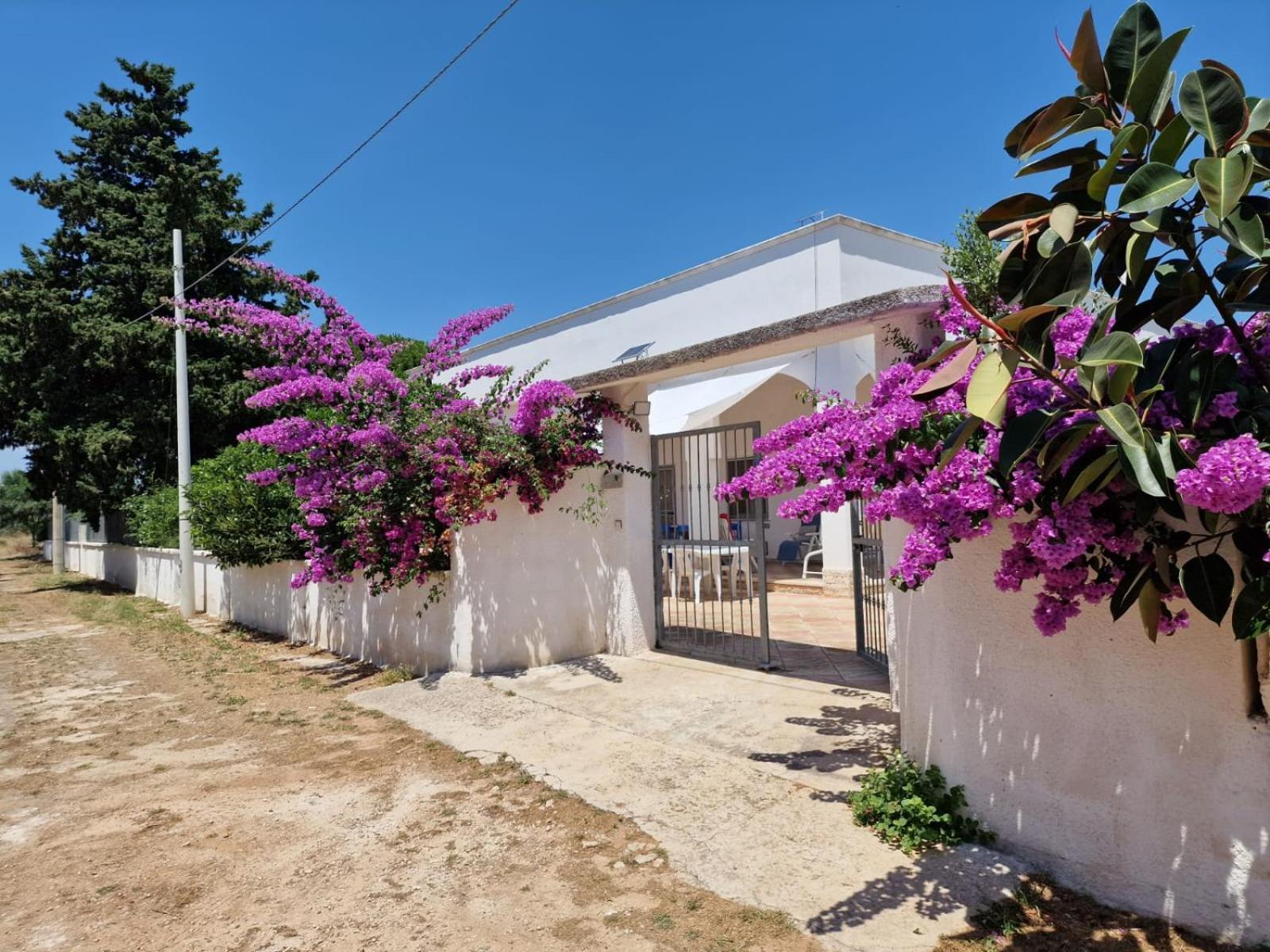 Villa Carmela A San Pietro In Bevagna Exteriér fotografie