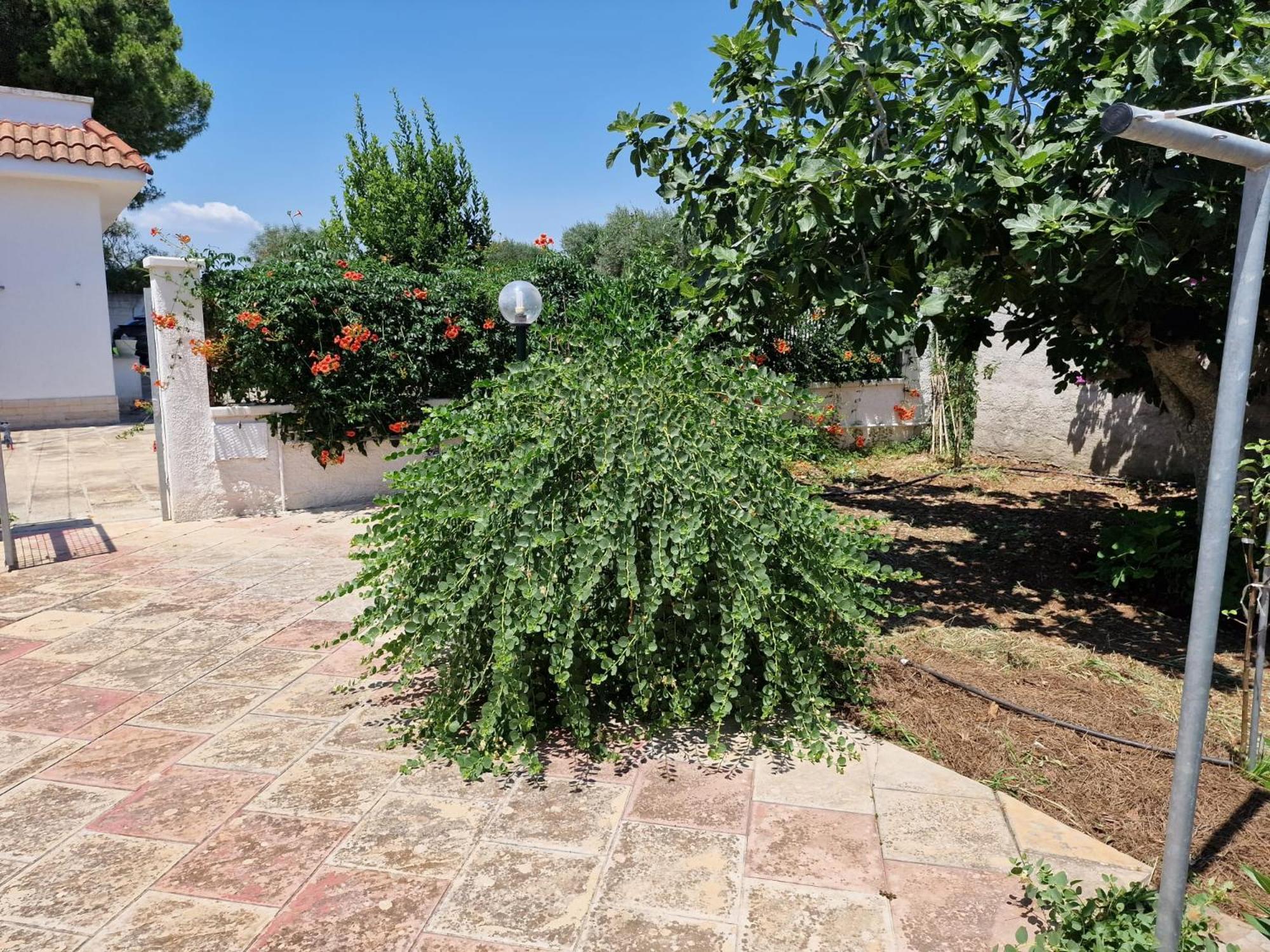 Villa Carmela A San Pietro In Bevagna Exteriér fotografie